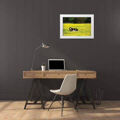 Black Pinto II White Modern Wood Framed Art Print by Hausenflock, Alan