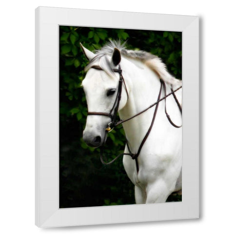 Phantom I White Modern Wood Framed Art Print by Hausenflock, Alan