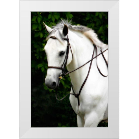 Phantom I White Modern Wood Framed Art Print by Hausenflock, Alan