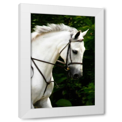 Phantom II White Modern Wood Framed Art Print by Hausenflock, Alan