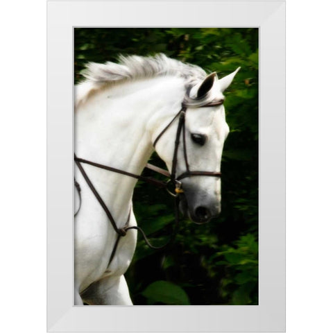 Phantom II White Modern Wood Framed Art Print by Hausenflock, Alan