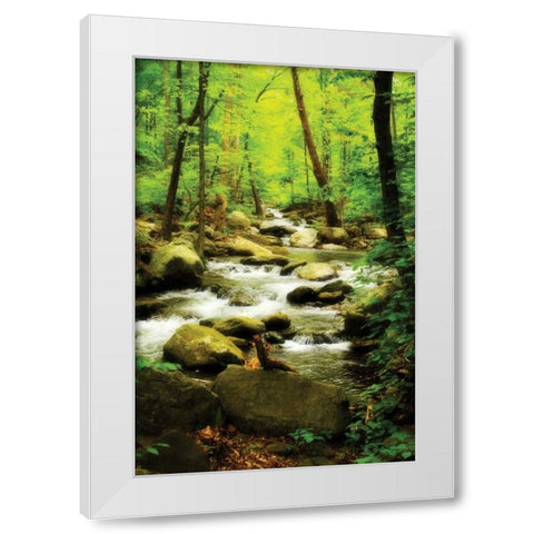 White Oak River I White Modern Wood Framed Art Print by Hausenflock, Alan