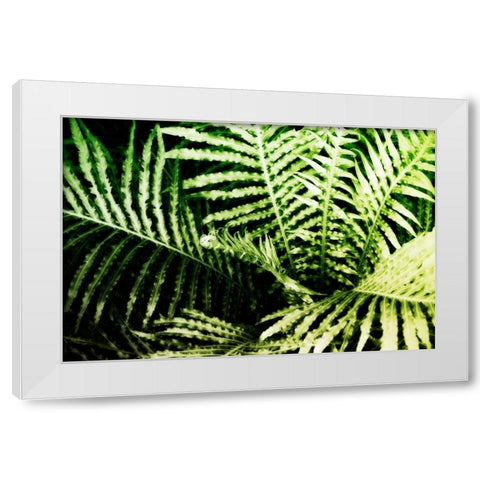 Tropical Foliage II White Modern Wood Framed Art Print by Hausenflock, Alan