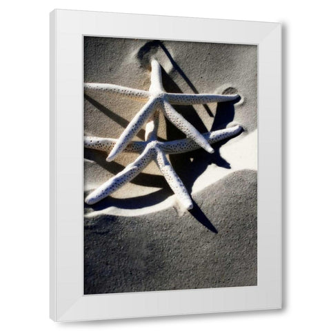 Sea Stars I White Modern Wood Framed Art Print by Hausenflock, Alan