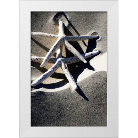 Sea Stars I White Modern Wood Framed Art Print by Hausenflock, Alan