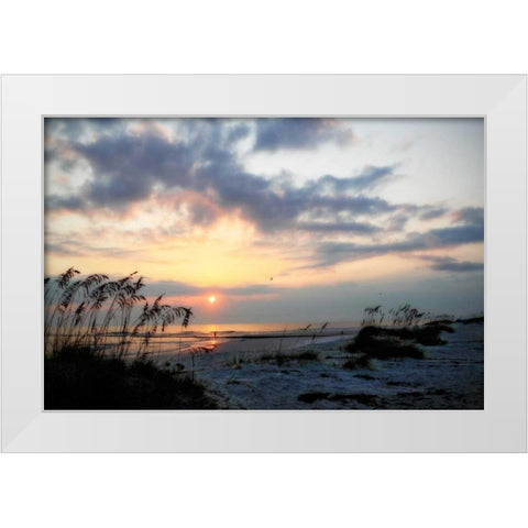 Masonboro Inlet II White Modern Wood Framed Art Print by Hausenflock, Alan