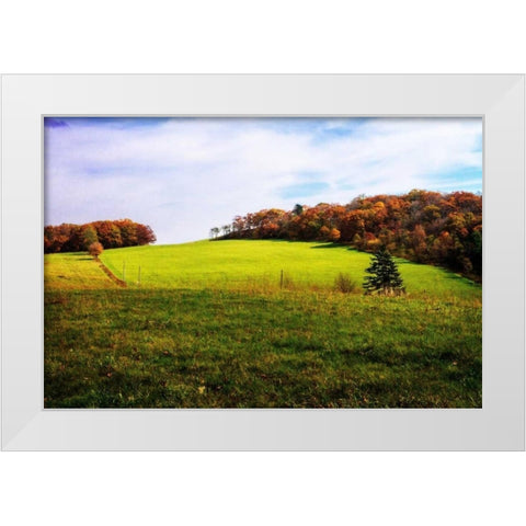 Virginia Hills II White Modern Wood Framed Art Print by Hausenflock, Alan