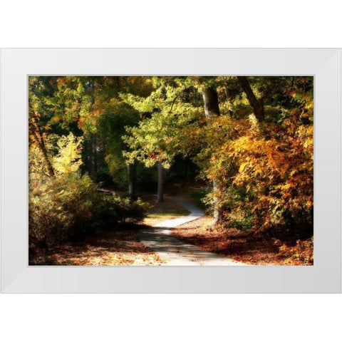 Autumn Pathway I White Modern Wood Framed Art Print by Hausenflock, Alan