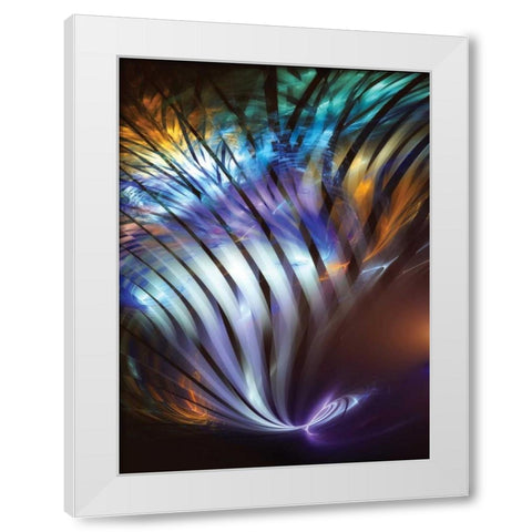 Plumage II White Modern Wood Framed Art Print by Hausenflock, Alan