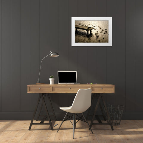 Feeding the Geese II White Modern Wood Framed Art Print by Hausenflock, Alan