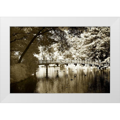 Westhampton Lake II White Modern Wood Framed Art Print by Hausenflock, Alan