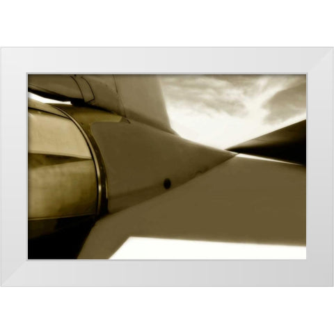 Tomcat III White Modern Wood Framed Art Print by Hausenflock, Alan