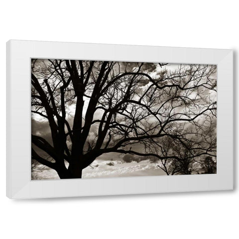 Approaching Storm II White Modern Wood Framed Art Print by Hausenflock, Alan