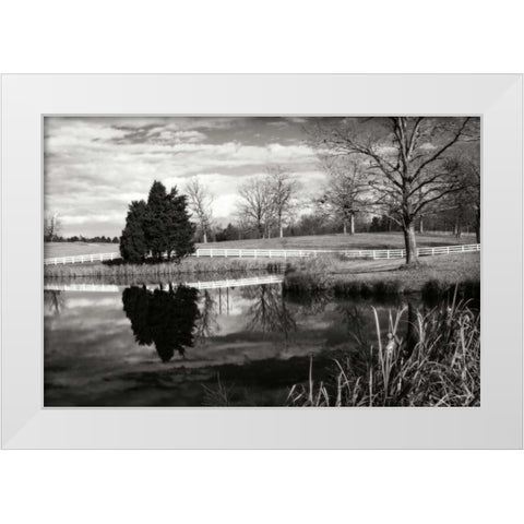 Edgeworth Farm II White Modern Wood Framed Art Print by Hausenflock, Alan