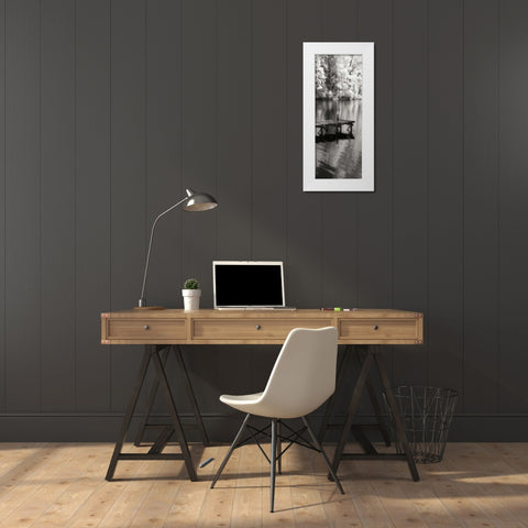 Mint Springs Lake Panel I White Modern Wood Framed Art Print by Hausenflock, Alan