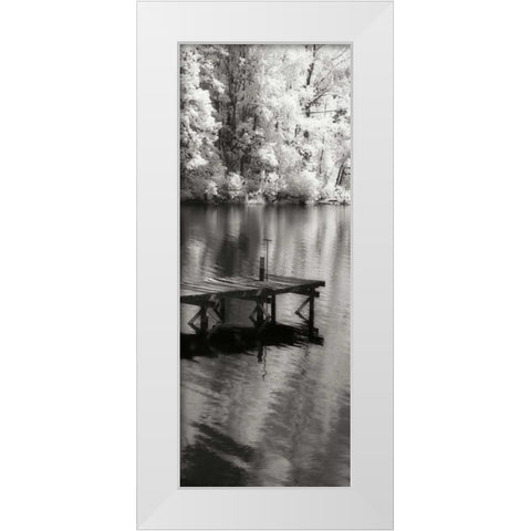 Mint Springs Lake Panel I White Modern Wood Framed Art Print by Hausenflock, Alan
