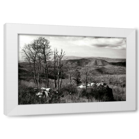 Bare Sentinals II White Modern Wood Framed Art Print by Hausenflock, Alan