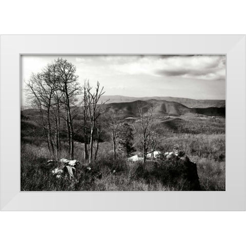 Bare Sentinals II White Modern Wood Framed Art Print by Hausenflock, Alan