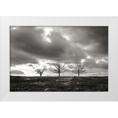 Winter Silence I White Modern Wood Framed Art Print by Hausenflock, Alan