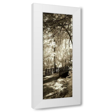 Summer Bridge Panel White Modern Wood Framed Art Print by Hausenflock, Alan