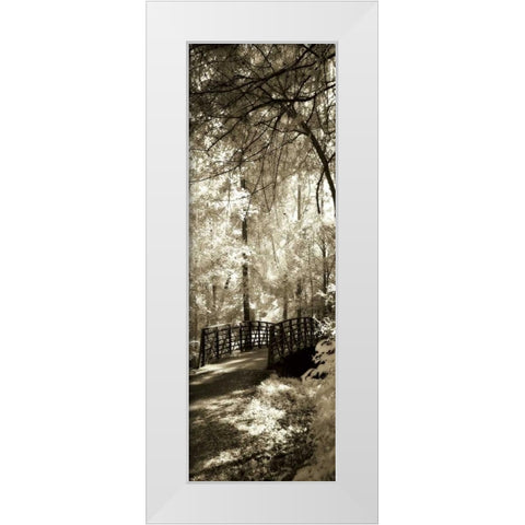 Summer Bridge Panel White Modern Wood Framed Art Print by Hausenflock, Alan
