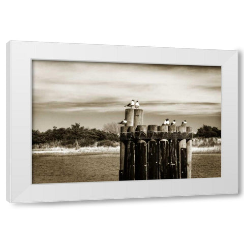 Pamlico Gulls II White Modern Wood Framed Art Print by Hausenflock, Alan