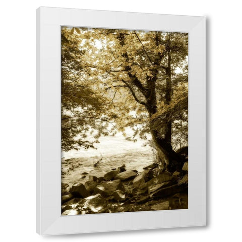 By the River Wide I White Modern Wood Framed Art Print by Hausenflock, Alan