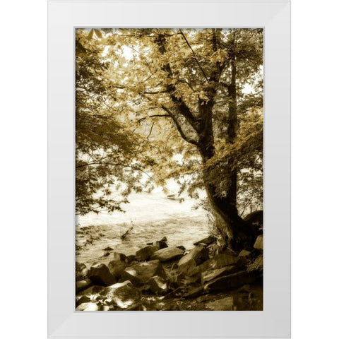 By the River Wide I White Modern Wood Framed Art Print by Hausenflock, Alan