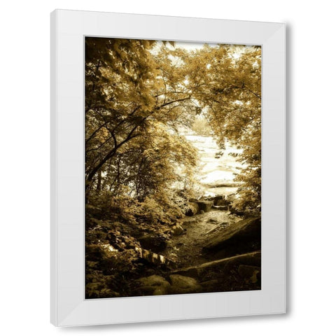 By the River Wide II White Modern Wood Framed Art Print by Hausenflock, Alan