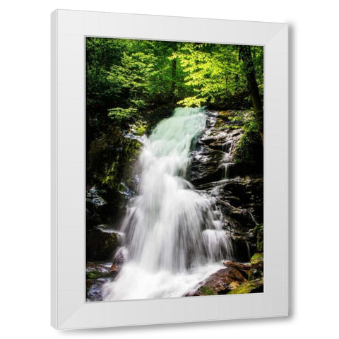 Deep Woods Waterfall II White Modern Wood Framed Art Print by Hausenflock, Alan