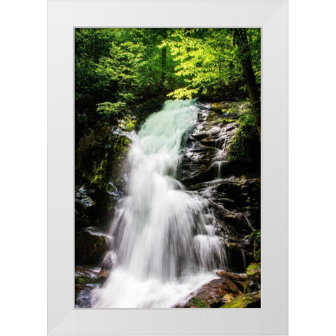 Deep Woods Waterfall II White Modern Wood Framed Art Print by Hausenflock, Alan