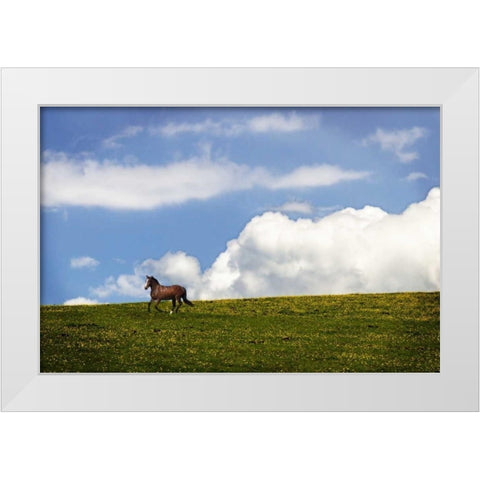 Horses in the Clouds I White Modern Wood Framed Art Print by Hausenflock, Alan