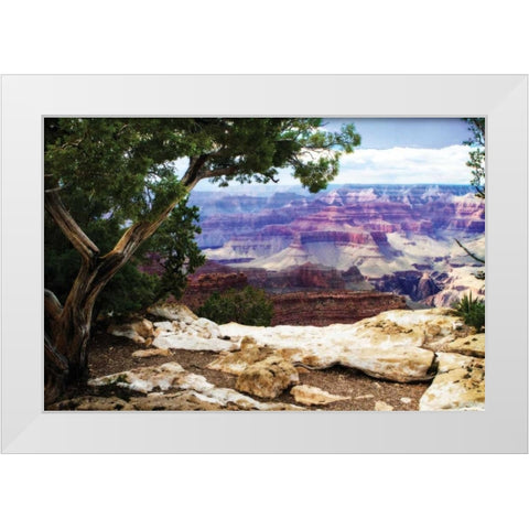 The Canyon I White Modern Wood Framed Art Print by Hausenflock, Alan