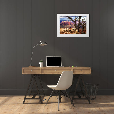 The Caynon IV White Modern Wood Framed Art Print by Hausenflock, Alan