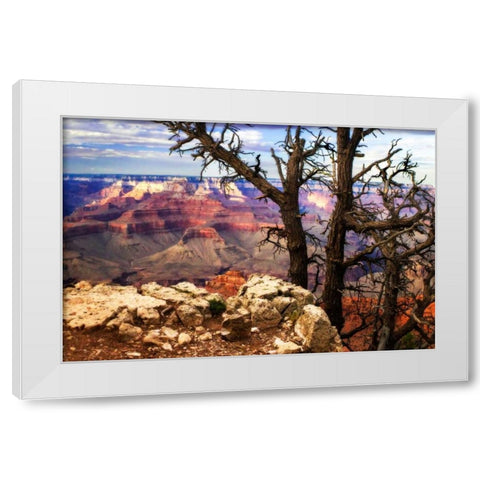 The Caynon IV White Modern Wood Framed Art Print by Hausenflock, Alan