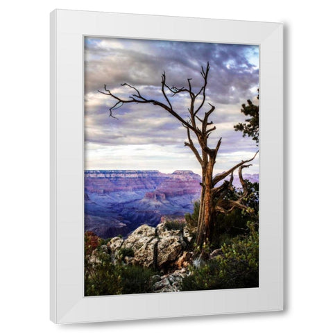 Evening on the Rim I White Modern Wood Framed Art Print by Hausenflock, Alan