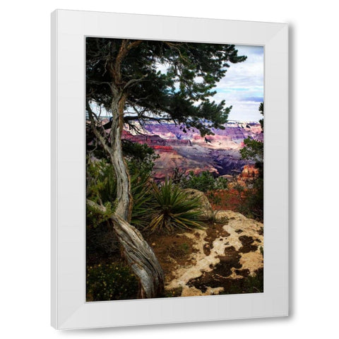 Eveing on the Rim II White Modern Wood Framed Art Print by Hausenflock, Alan