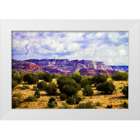 The High Desert I White Modern Wood Framed Art Print by Hausenflock, Alan