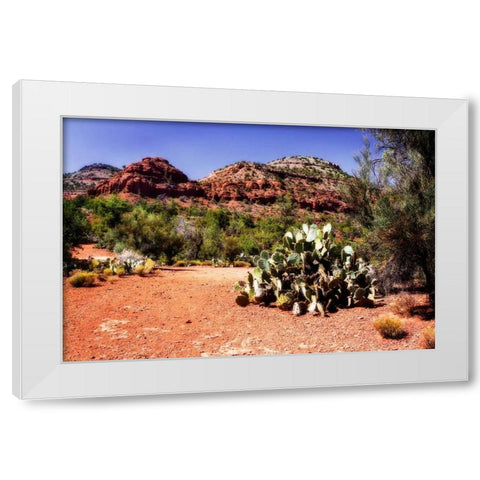 High Desert I White Modern Wood Framed Art Print by Hausenflock, Alan