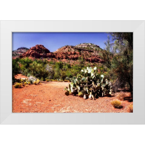 High Desert I White Modern Wood Framed Art Print by Hausenflock, Alan