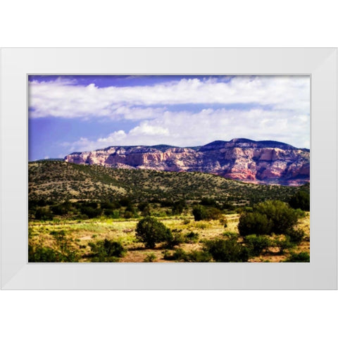 The High Desert II White Modern Wood Framed Art Print by Hausenflock, Alan