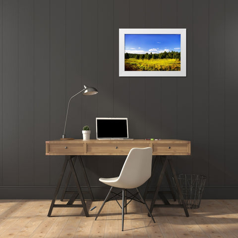 Big Sky Ranch II White Modern Wood Framed Art Print by Hausenflock, Alan