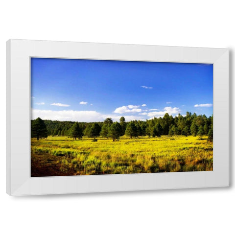 Big Sky Ranch II White Modern Wood Framed Art Print by Hausenflock, Alan