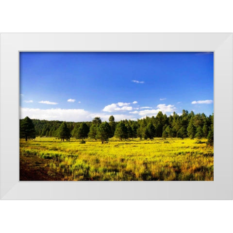 Big Sky Ranch II White Modern Wood Framed Art Print by Hausenflock, Alan