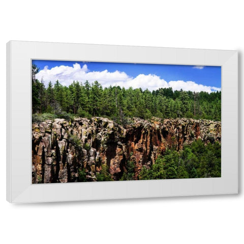 Bones of the Earth White Modern Wood Framed Art Print by Hausenflock, Alan