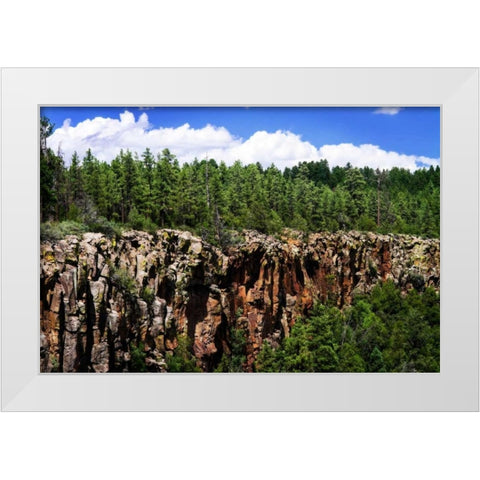 Bones of the Earth White Modern Wood Framed Art Print by Hausenflock, Alan