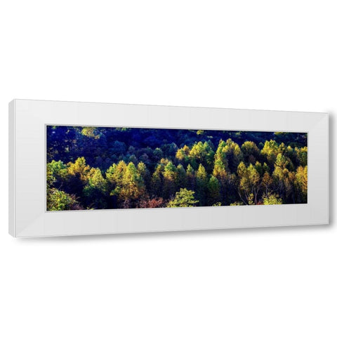 Autumn Ridge I White Modern Wood Framed Art Print by Hausenflock, Alan