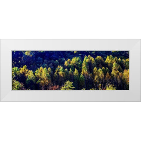 Autumn Ridge I White Modern Wood Framed Art Print by Hausenflock, Alan