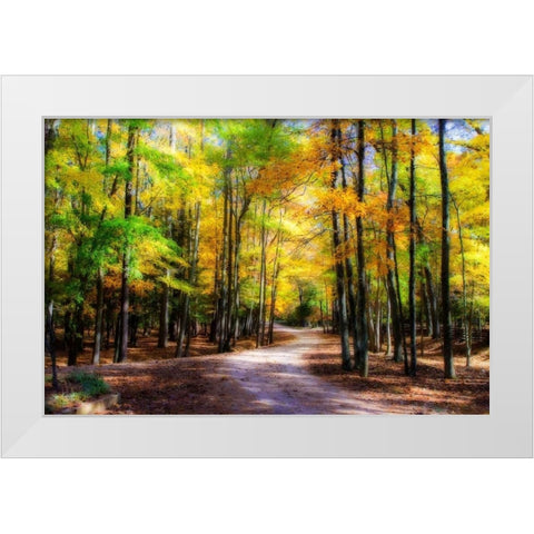 Goose Pond Lane II White Modern Wood Framed Art Print by Hausenflock, Alan
