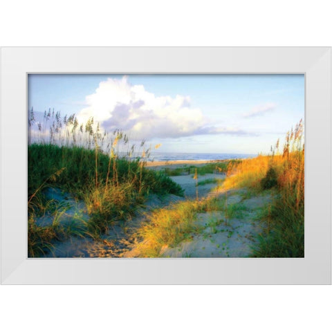 Dunes I White Modern Wood Framed Art Print by Hausenflock, Alan